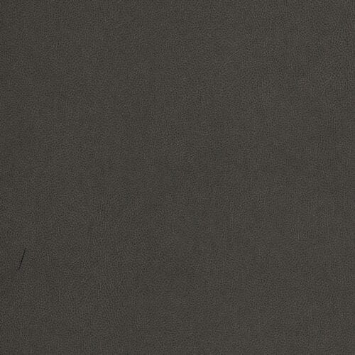 NE40 - Truffle