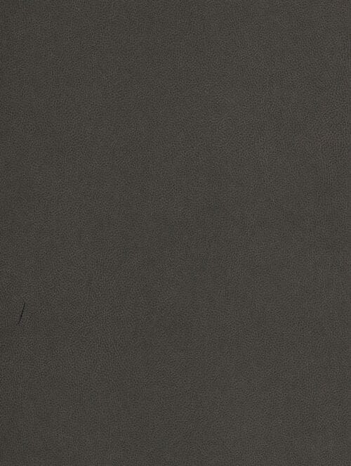 NE40 - Truffle