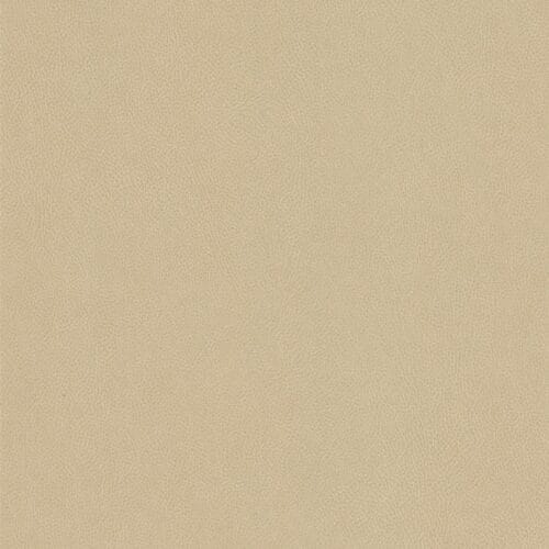 NE42 - Cashmere