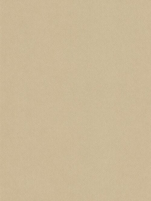 NE42 - Cashmere