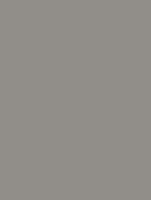 NE79 - Elephant Grey