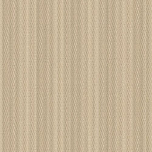 NG20 - Edgy Cream