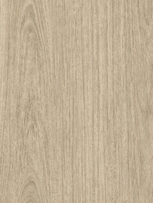 NH75 - Eucalyptus