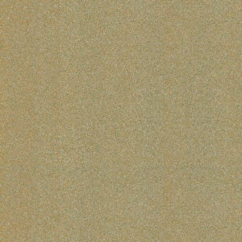 R19 - Champagne